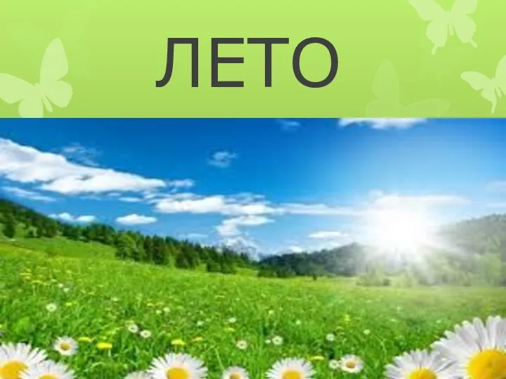 ЛЕТО