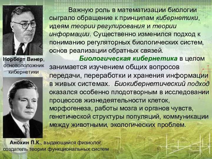 Важную роль в математизации биологии сыграло обращение к принципам кибернетики, идеям теории