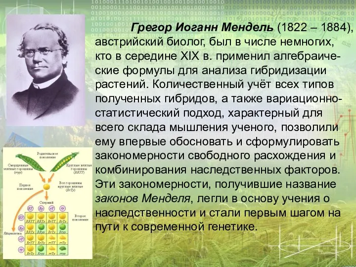 Грегор Иоганн Мендель (1822 – 1884), австрийский биолог, был в числе немногих,