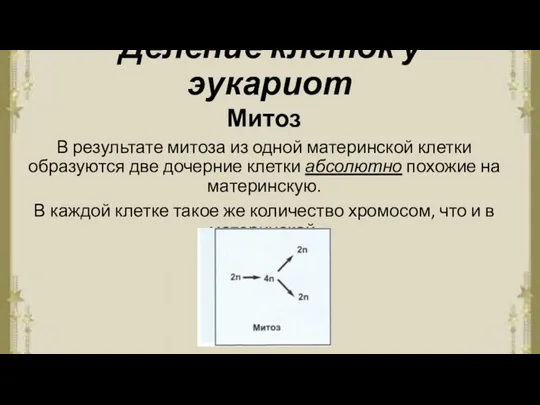 Деление клеток у эукариот Митоз В результате митоза из одной материнской клетки