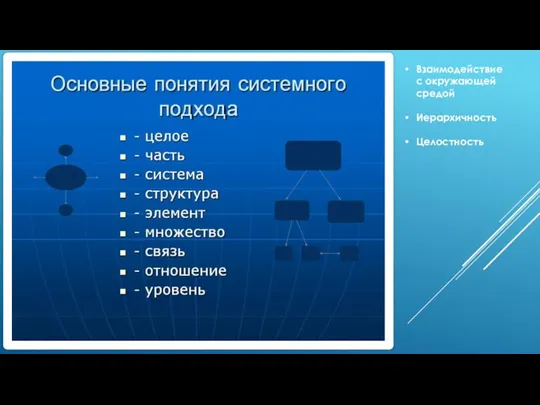 Взаимодействие с окружающей средой Иерархичность Целостность