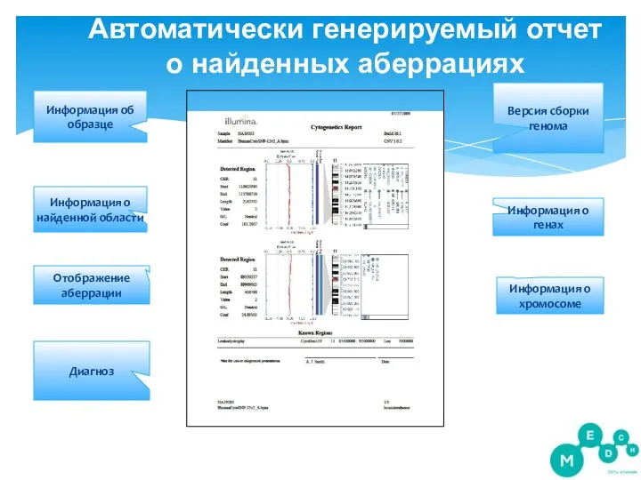 Автоматически генерируемый отчет о найденных аберрациях Версия сборки генома Информация о найденной