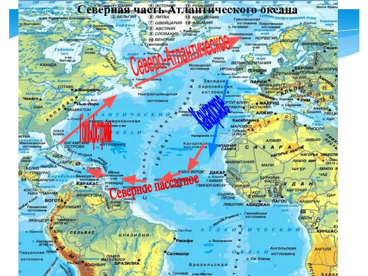 Северная часть Атлантического океана Гольфстрим Северо-Атлантическое Канарское Северное пассатное