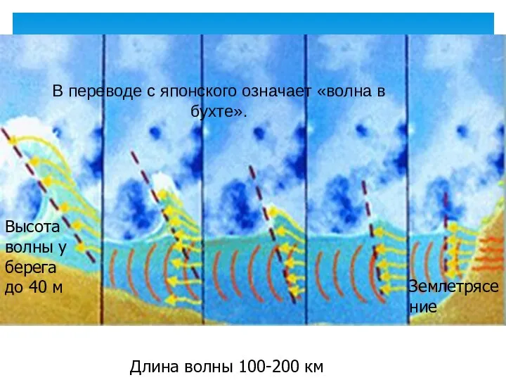 В переводе с японского означает «волна в бухте». Землетрясение Высота волны у