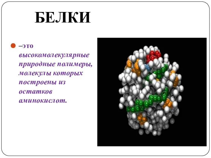 –это высокомолекулярные природные полимеры, молекулы которых построены из остатков аминокислот. БЕЛКИ