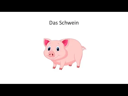 Das Schwein