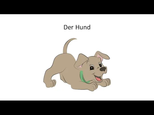 Der Hund