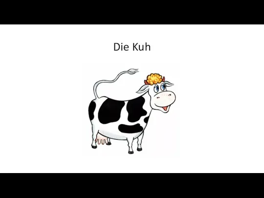 Die Kuh