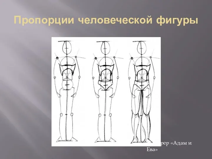 Пропорции человеческой фигуры » А.Дюрер «Адам и Ева»