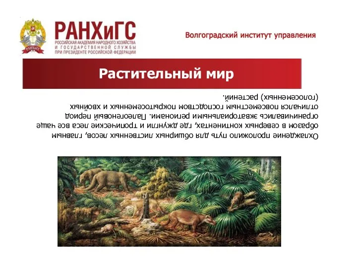 Охлаждение проложило путь для обширных лиственных лесов, главным образом в северных континентах,