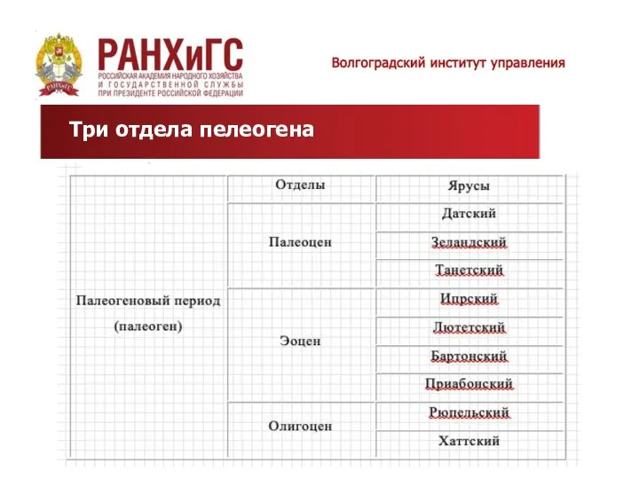 Три отдела пелеогена