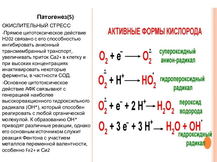 Патогенез(5) ОКИСЛИТЕЛЬНЫЙ СТРЕСС -Прямое цитотоксическое действие Н202 связано с его способностью ингибировать