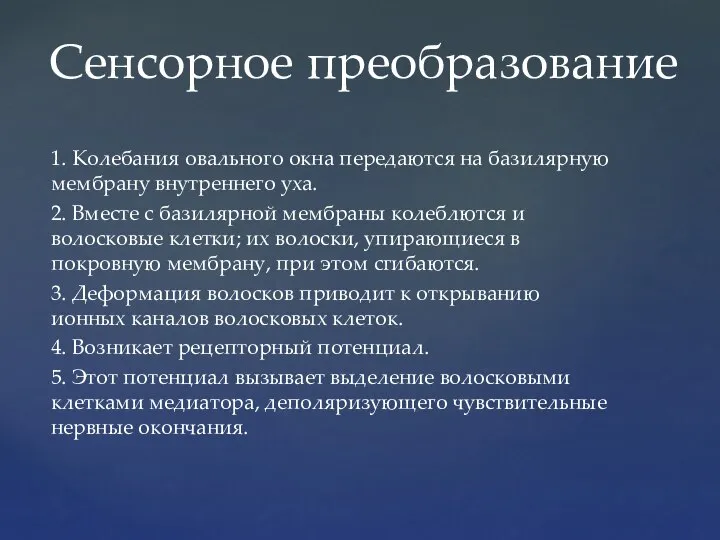 1. Колебания овального окна передаются на базилярную мембрану внутреннего уха. 2. Вместе