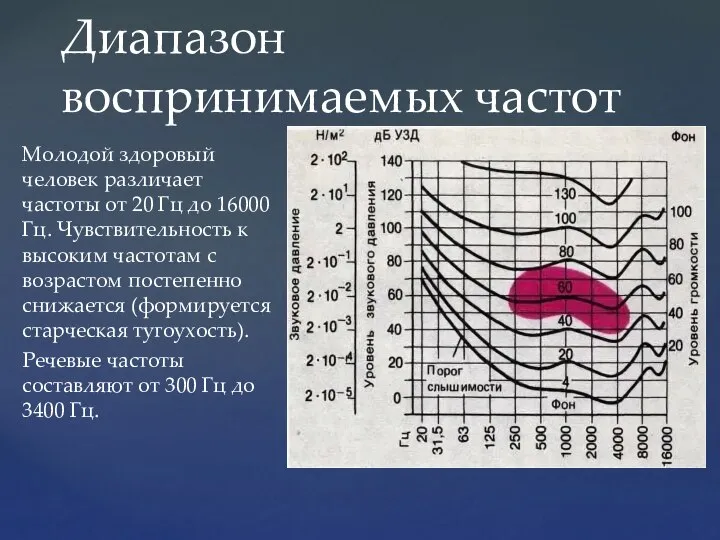 Молодой здоровый человек различает частоты от 20 Гц до 16000 Гц. Чувствительность