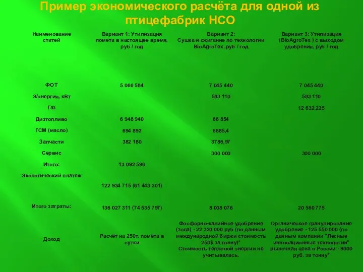 Пример экономического расчёта для одной из птицефабрик НСО