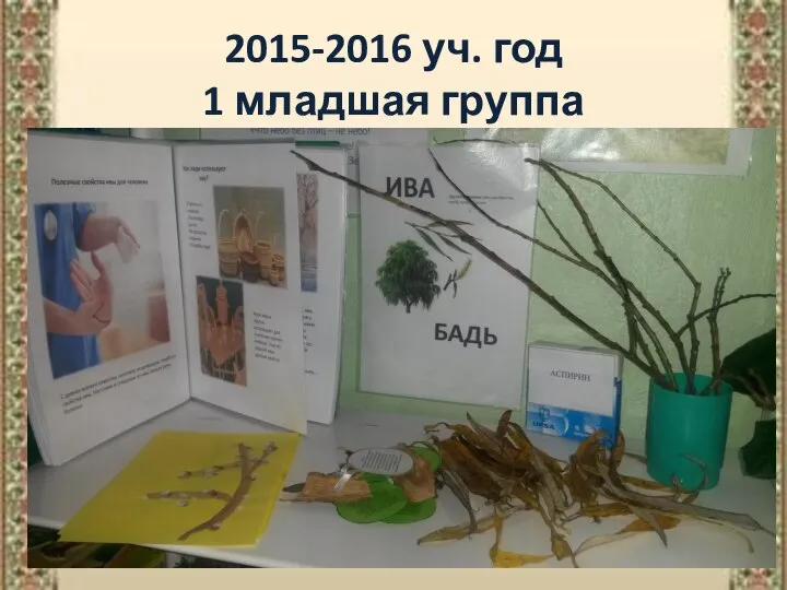 2015-2016 уч. год 1 младшая группа