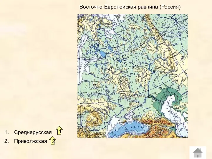 Восточно-Европейская равнина (Россия) Среднерусская Приволжская 1 2