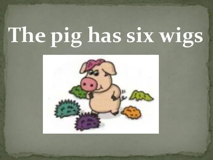 The pig has six wigs