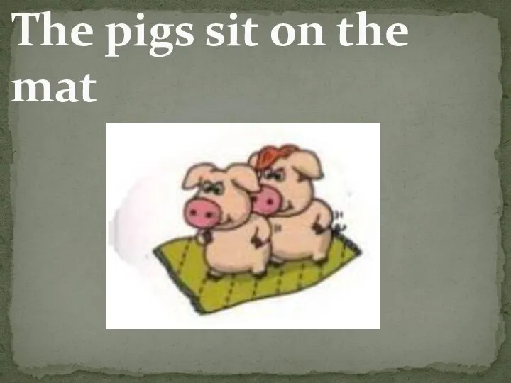 The pigs sit on the mat