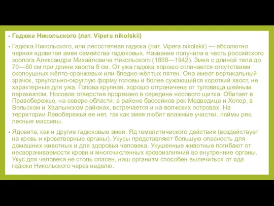 Гадюка Никольского (лат. Vipera nikolskii) Гадюка Никольского, или лесостепная гадюка (лат. Vipera