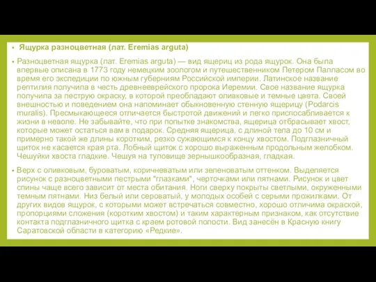 Ящурка разноцветная (лат. Eremias arguta) Разноцветная ящурка (лат. Eremias arguta) — вид