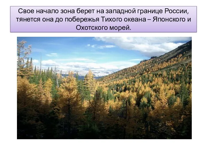 Свое начало зона берет на западной границе России, тянется она до побережья