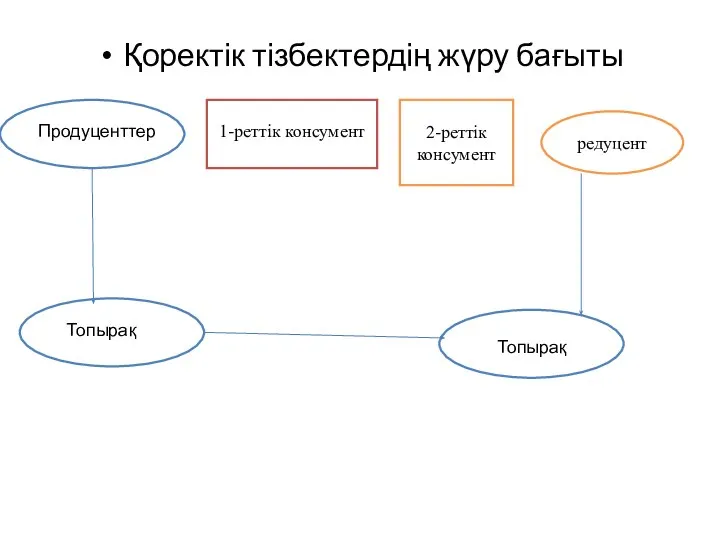 Қоректік тізбектердің жүру бағыты Продуценттер 1-реттік консумент 2-реттік консумент редуцент Топырақ Топырақ