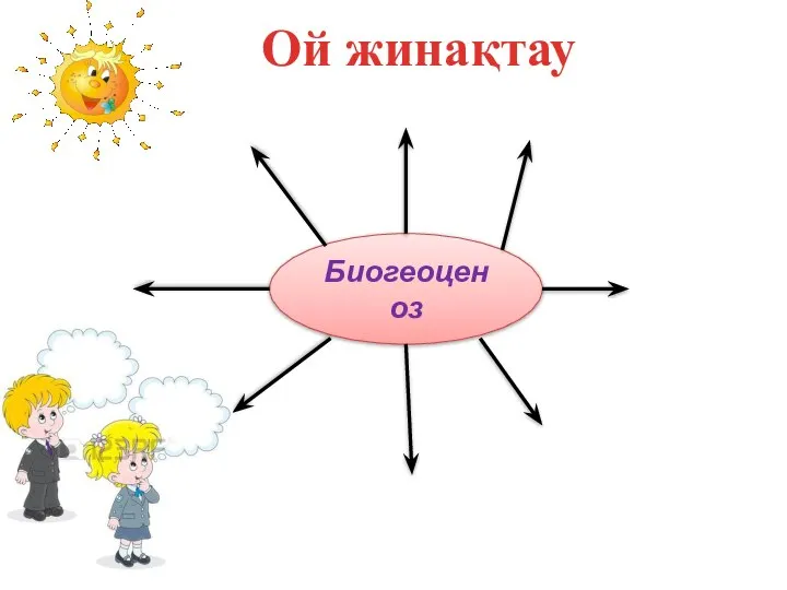 Биогеоценоз Ой жинақтау