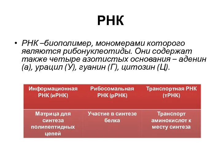 РНК РНК –биополимер, мономерами которого являются рибонуклеотиды. Они содержат также четыре азотистых