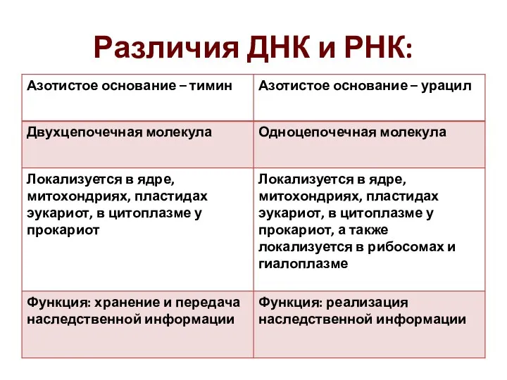 Различия ДНК и РНК: