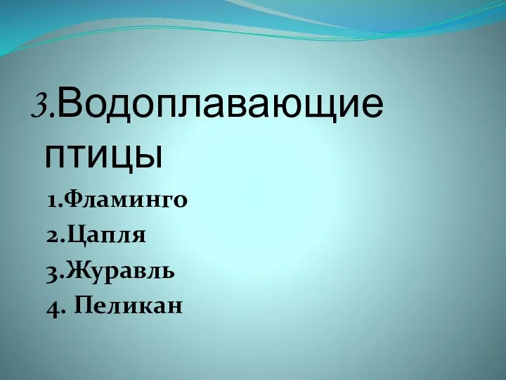 3.Водоплавающие птицы 1.Фламинго 2.Цапля 3.Журавль 4. Пеликан