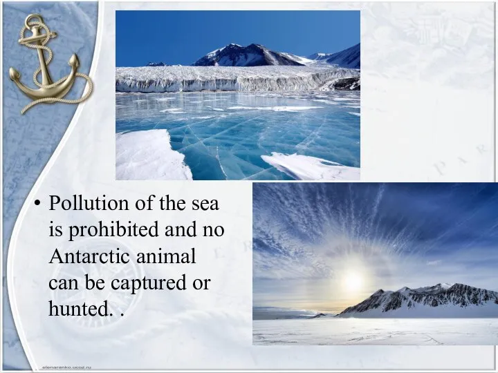 Pollution of the sea is prohibited and no Antarctic animal can be captured or hunted. .