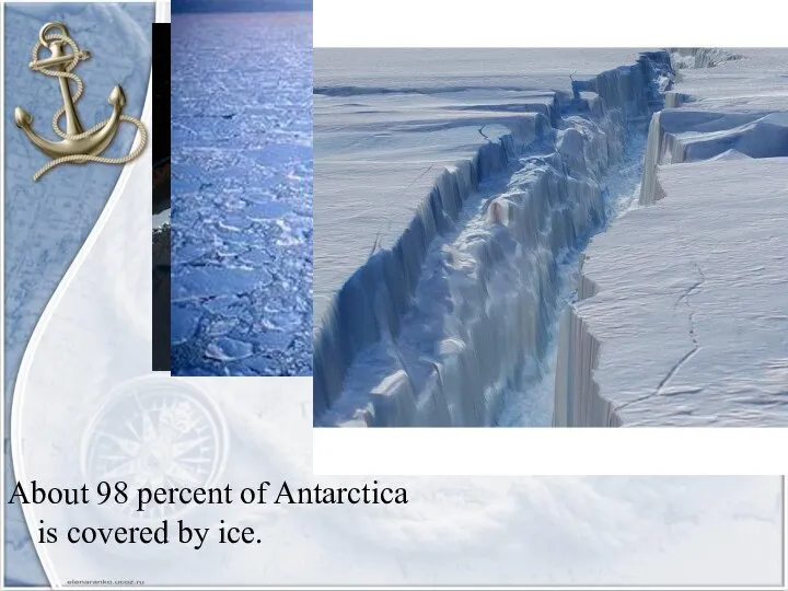 About 98 percent of Antarctica is covered by ice.