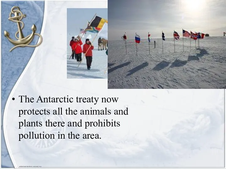 The Antarctic treaty now protects all the animals and plants there and
