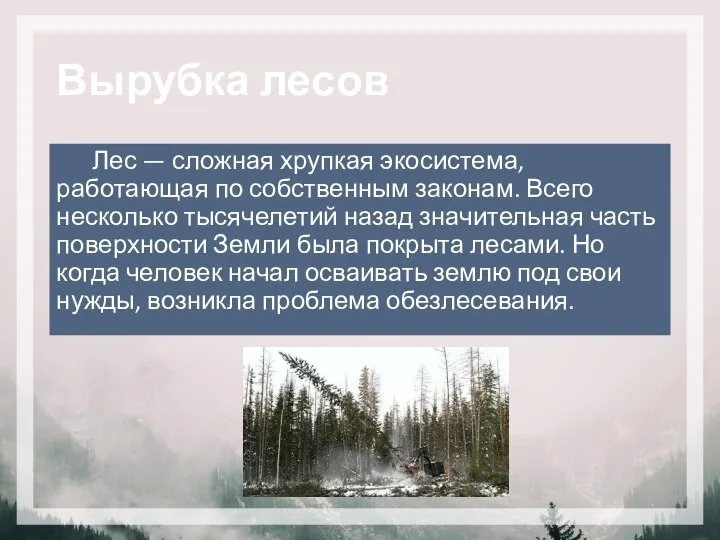 Вырубка лесов Лес — сложная хрупкая экосистема, работающая по собственным законам. Всего