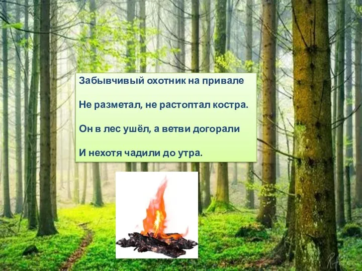 Забывчивый охотник на привале Не разметал, не растоптал костра. Он в лес