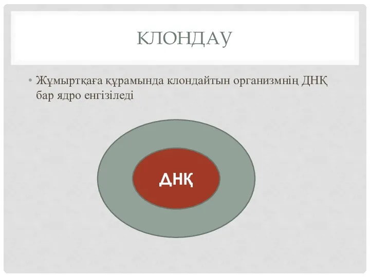 КЛОНДАУ Жұмыртқаға құрамында клондайтын организмнің ДНҚ бар ядро енгізіледі ДНҚ