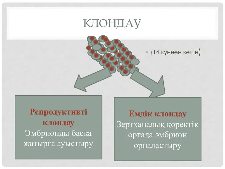 КЛОНДАУ (14 күннен кейін) \ Репродуктивті клондау Эмбрионды басқа жатырға ауыстыру Емдік