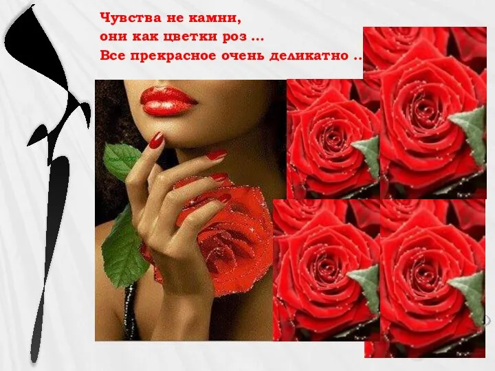 Чувства не камни, они как цветки роз … Все прекрасное очень деликатно ...