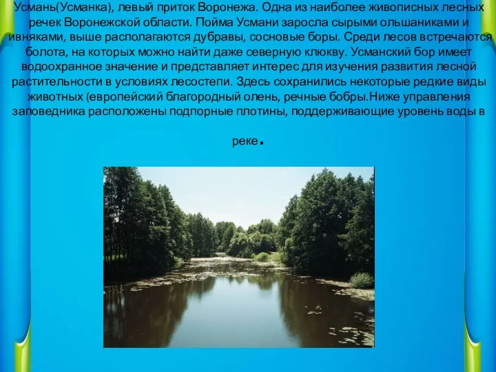 Усмань(Усманка), левый приток Воронежа. Одна из наиболее живописных лесных речек Воронежской области.