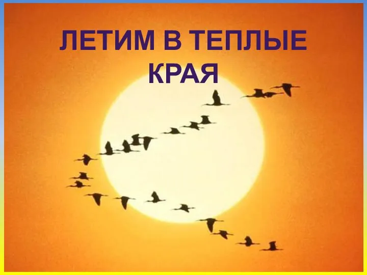 ЛЕТИМ В ТЕПЛЫЕ КРАЯ