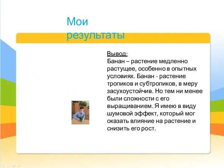 Мои результаты Вывод: Банан – растение медленно растущее, особенно в опытных условиях.