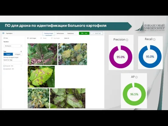 ПО для дрона по идентификации больного картофеля