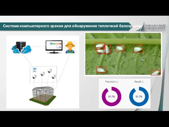 Система компьютерного зрения для обнаружения тепличной белокрылки