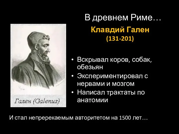 В древнем Риме… Вскрывал коров, собак, обезьян Экспериментировал с нервами и мозгом