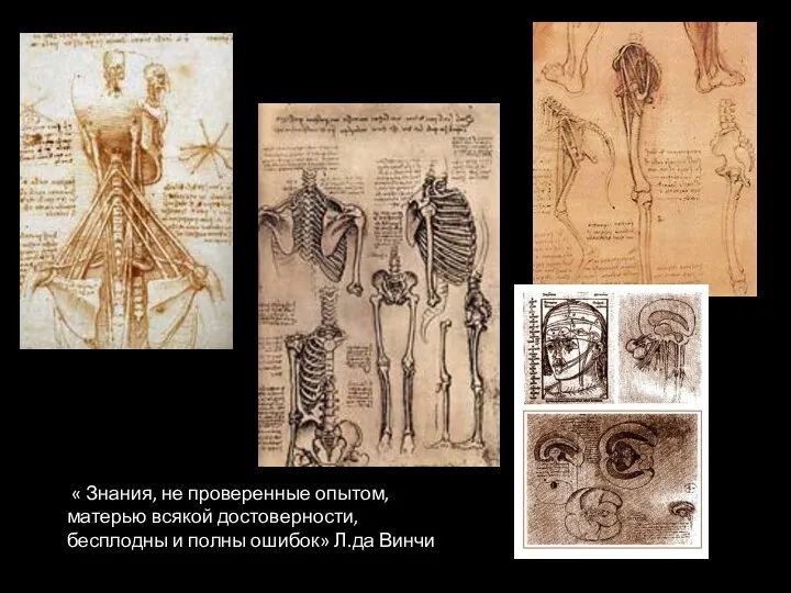 « Знания, не проверенные опытом, матерью всякой достоверности, бесплодны и полны ошибок» Л.да Винчи