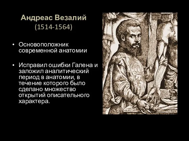 Андреас Везалий (1514-1564) Основоположник современной анатомии Исправил ошибки Галена и заложил аналитический