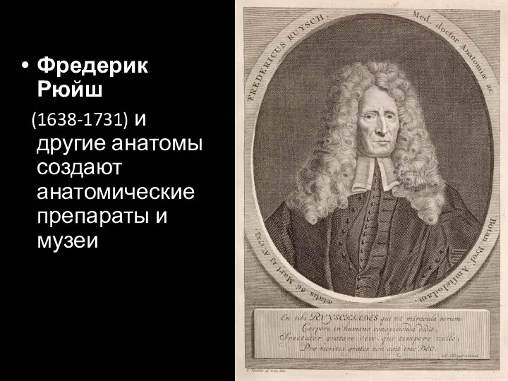 Фредерик Рюйш (1638-1731) и другие анатомы создают анатомические препараты и музеи