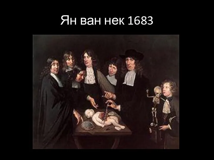 Ян ван нек 1683