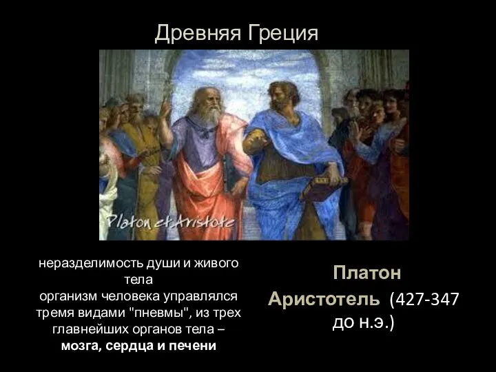 Платон Аристотель (427-347 до н.э.) неразделимость души и живого тела организм человека